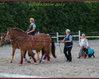2-13JUIN 0880